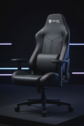 Secretlab Chair